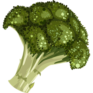 Broccoli PNG-72856